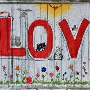 Meet your Posher, Elle